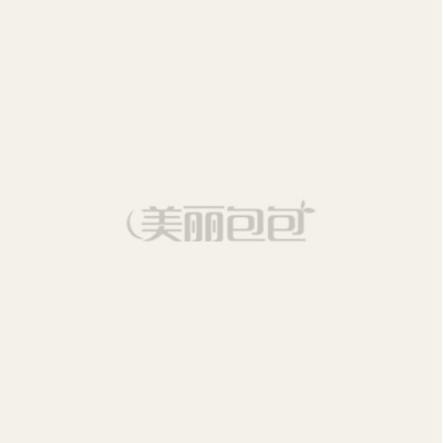 章子怡同款迪奥限量版亮片款lady dior包包