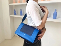 拼色小牛皮 中号celine frame赛琳包包