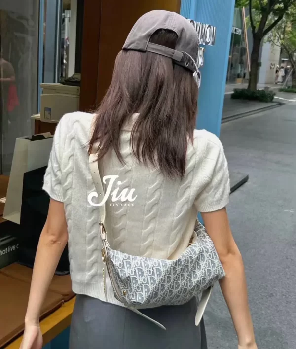 Dior D-Journey迪奧新款流浪包 牛仔藍色酒椰草女士hobo手袋2417