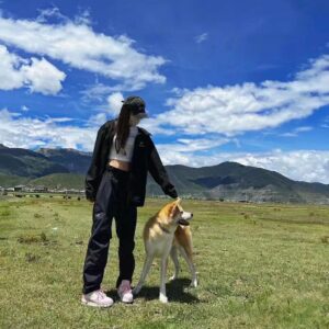 Arcteryx Beta Pants始祖鸟冲锋裤 半开拉链硬壳防水 休闲运动长裤 - Image 13